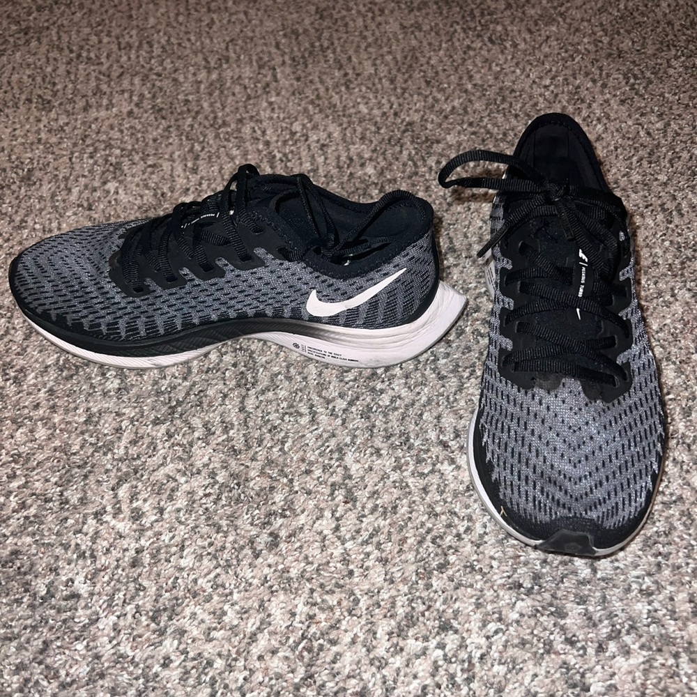 Nike Pegasus Turbo 2